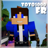Toto1000FR