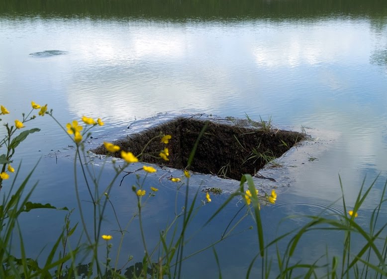 http://minecraft.fr/wp-content/uploads/2011/09/water-block.jpg