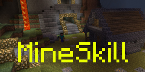 MineSkillfr