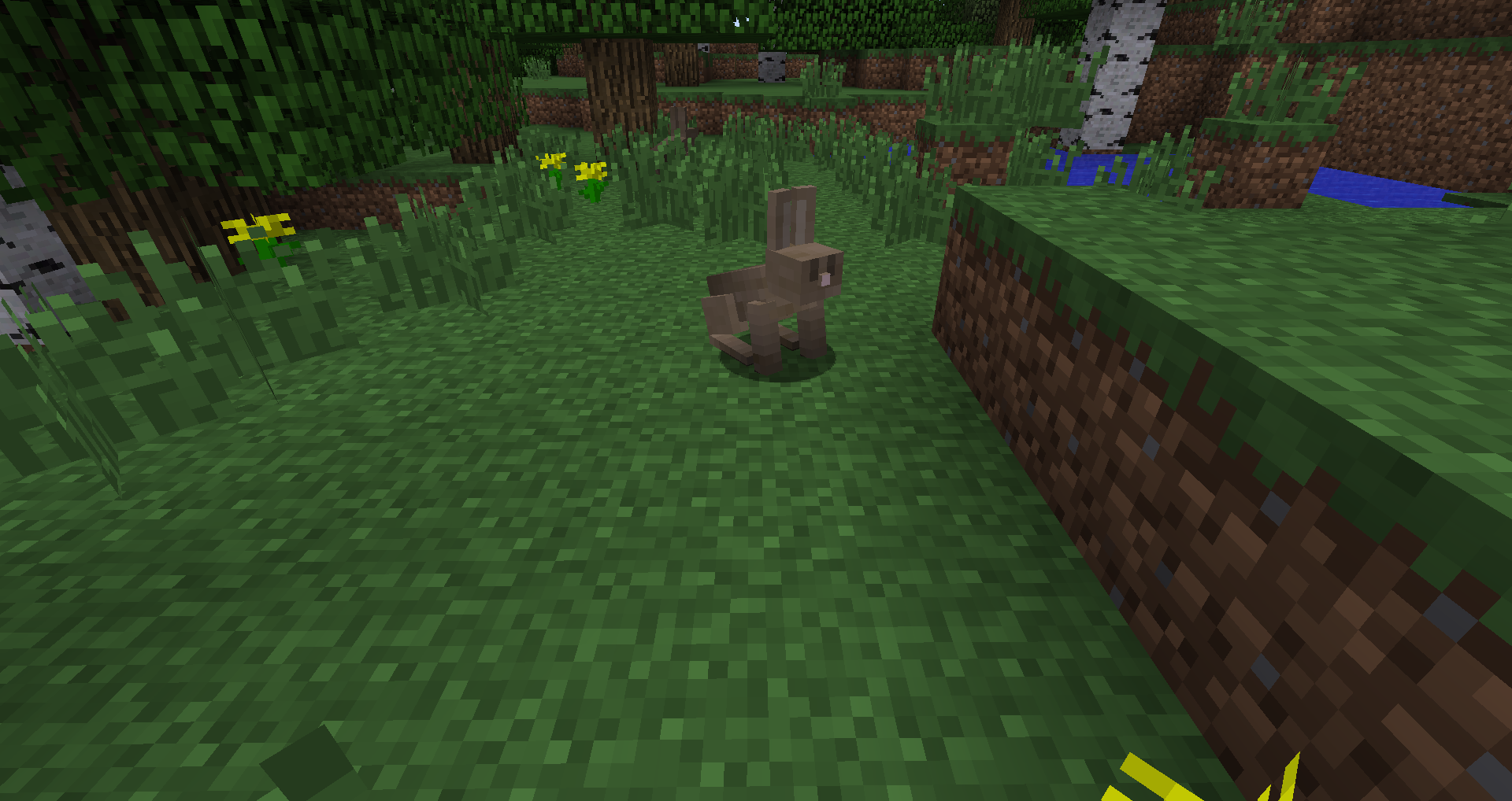 comment trouver des lapins dans minecraft