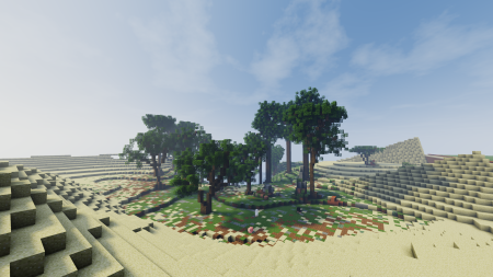 Oasis