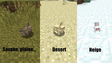 Sachez que dans les savanes et les plaines, il existe plusieurs types de lapin (noir, tacheté, etc...)