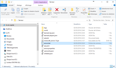 Créer son serveur Vanilla 10-telechargement-450x266 Créer son serveur Vanilla 10-telechargement-450x266