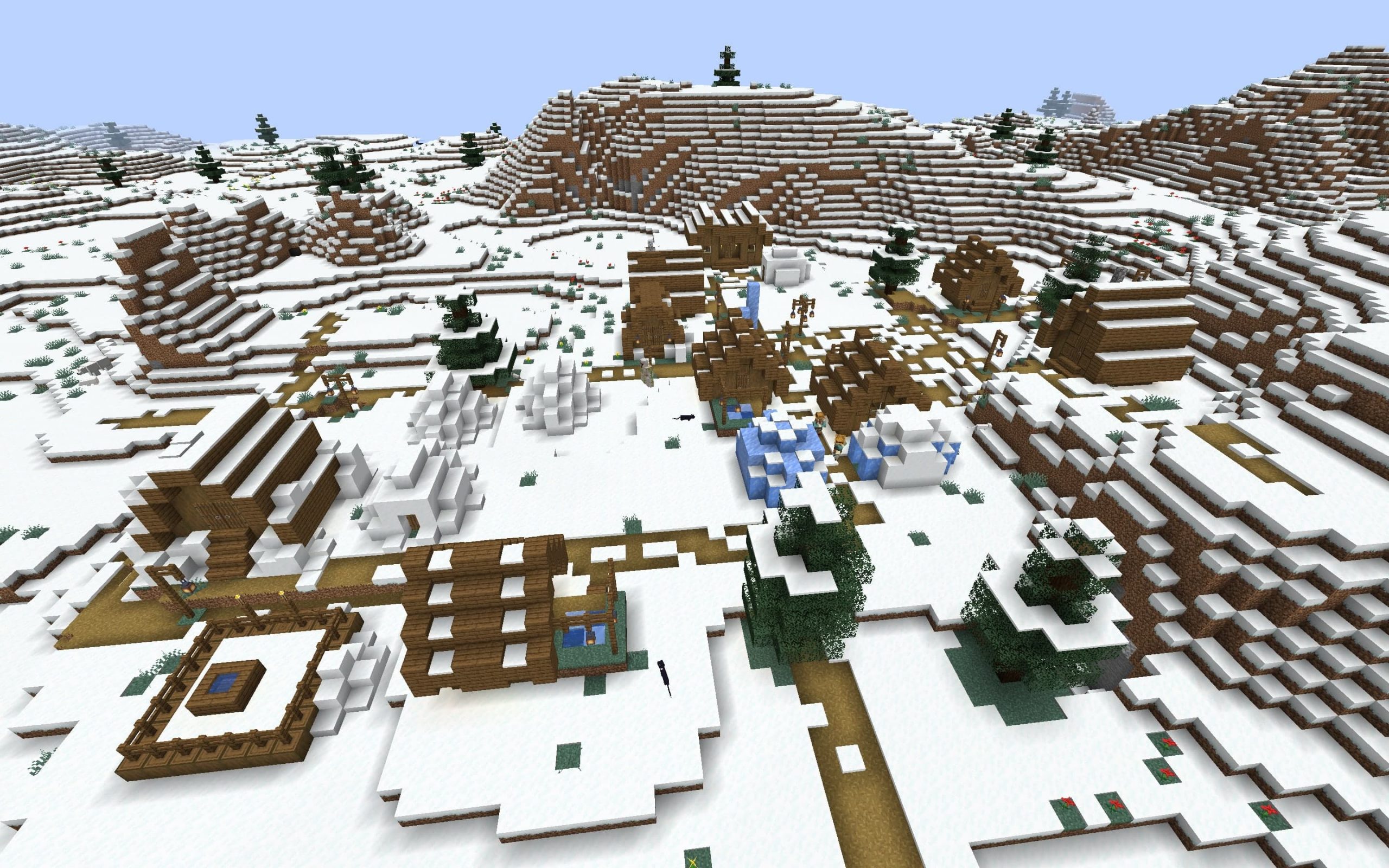сид на деревню в снежном биоме майнкрафт #8