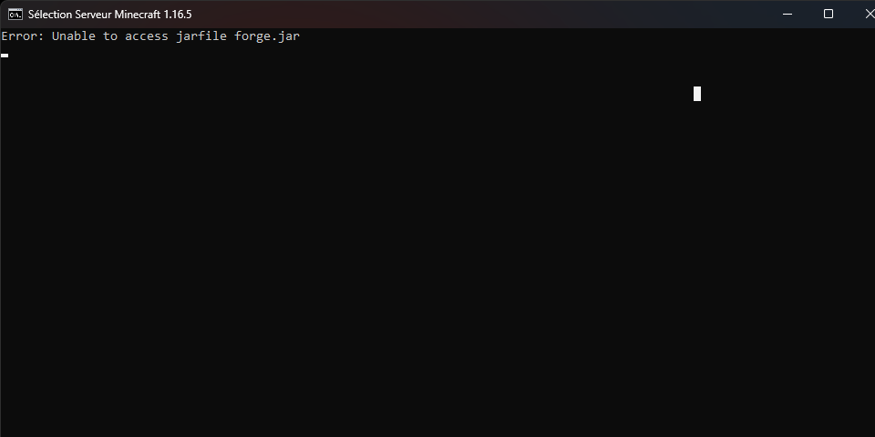 (1) Serveur forge 1.16.5-36.2.34 _ Problème lors de la création _ Minecraft.fr - Forum - Googl...png