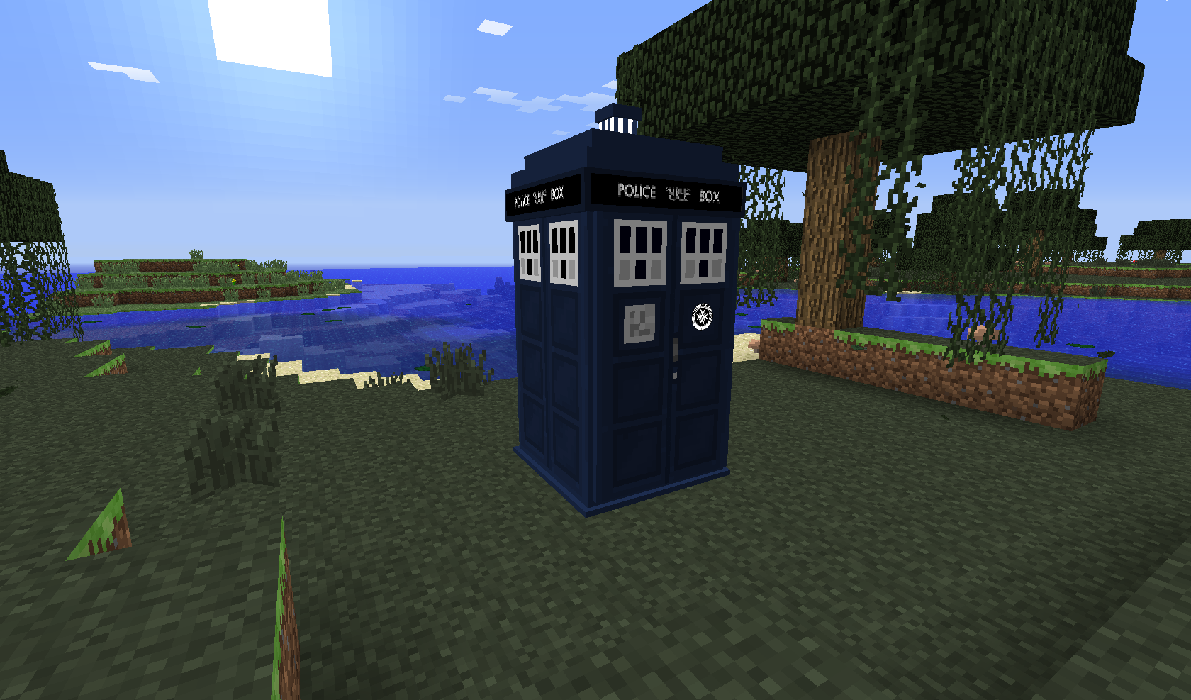 Mod - Modpack: The Hide Face Of The Daleks [1.6.4 