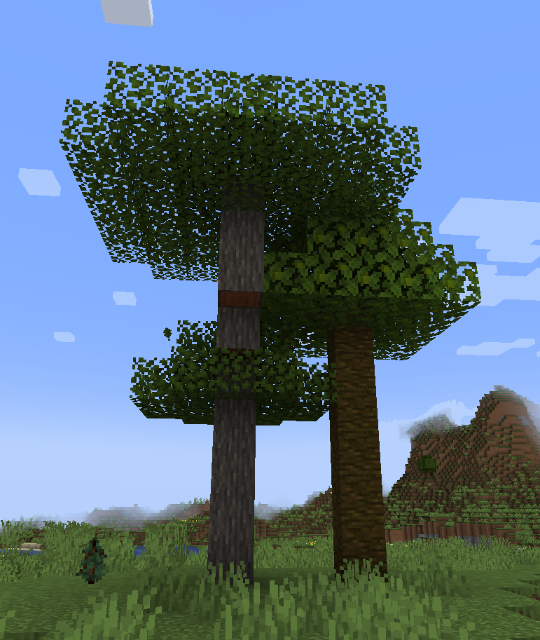 Acacia et Acajou.png