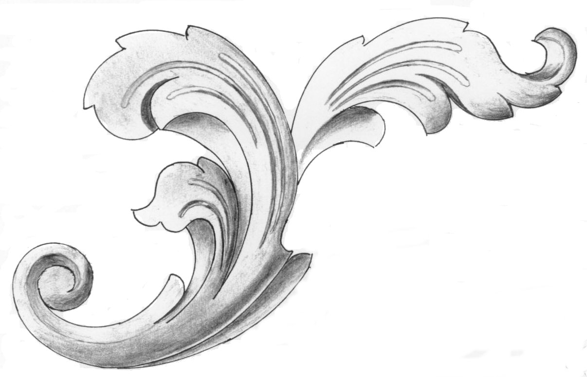Acanthe0.jpg