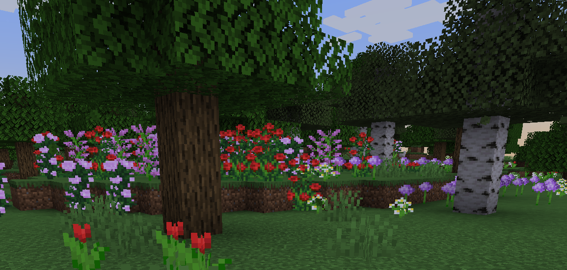 Arbres.png
