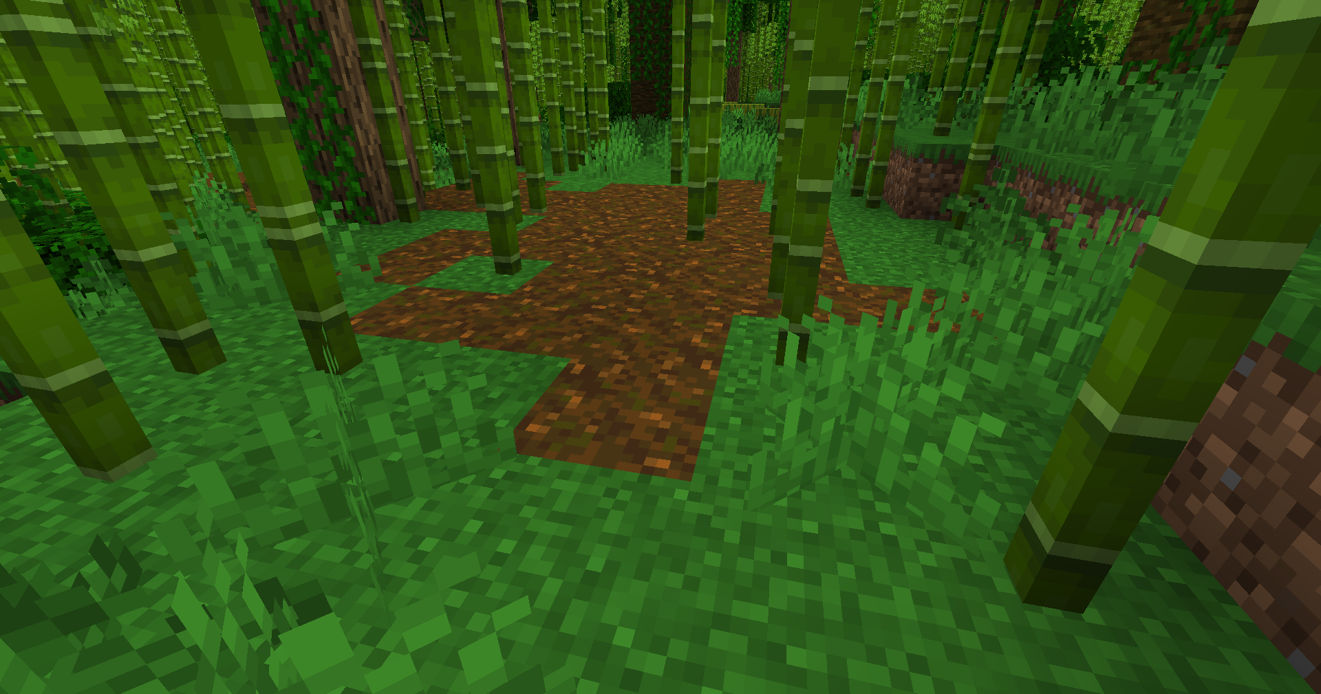 Bambou tiges.png