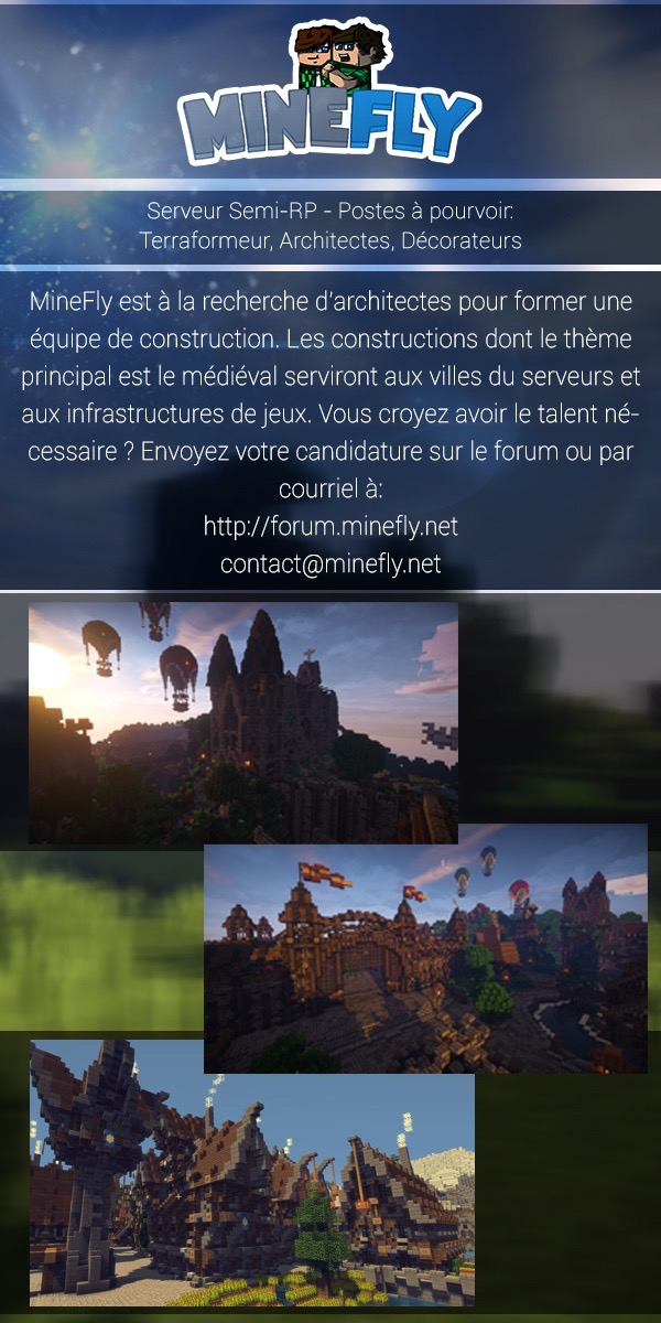 Brochure Minefly Recrutement Architecte.JPG