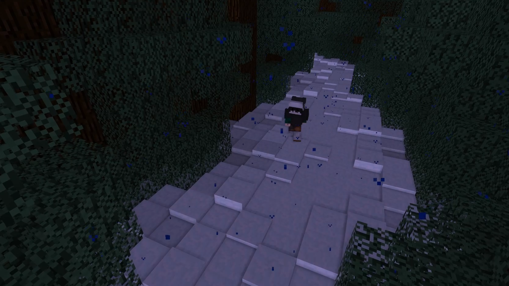 capture 2.png
