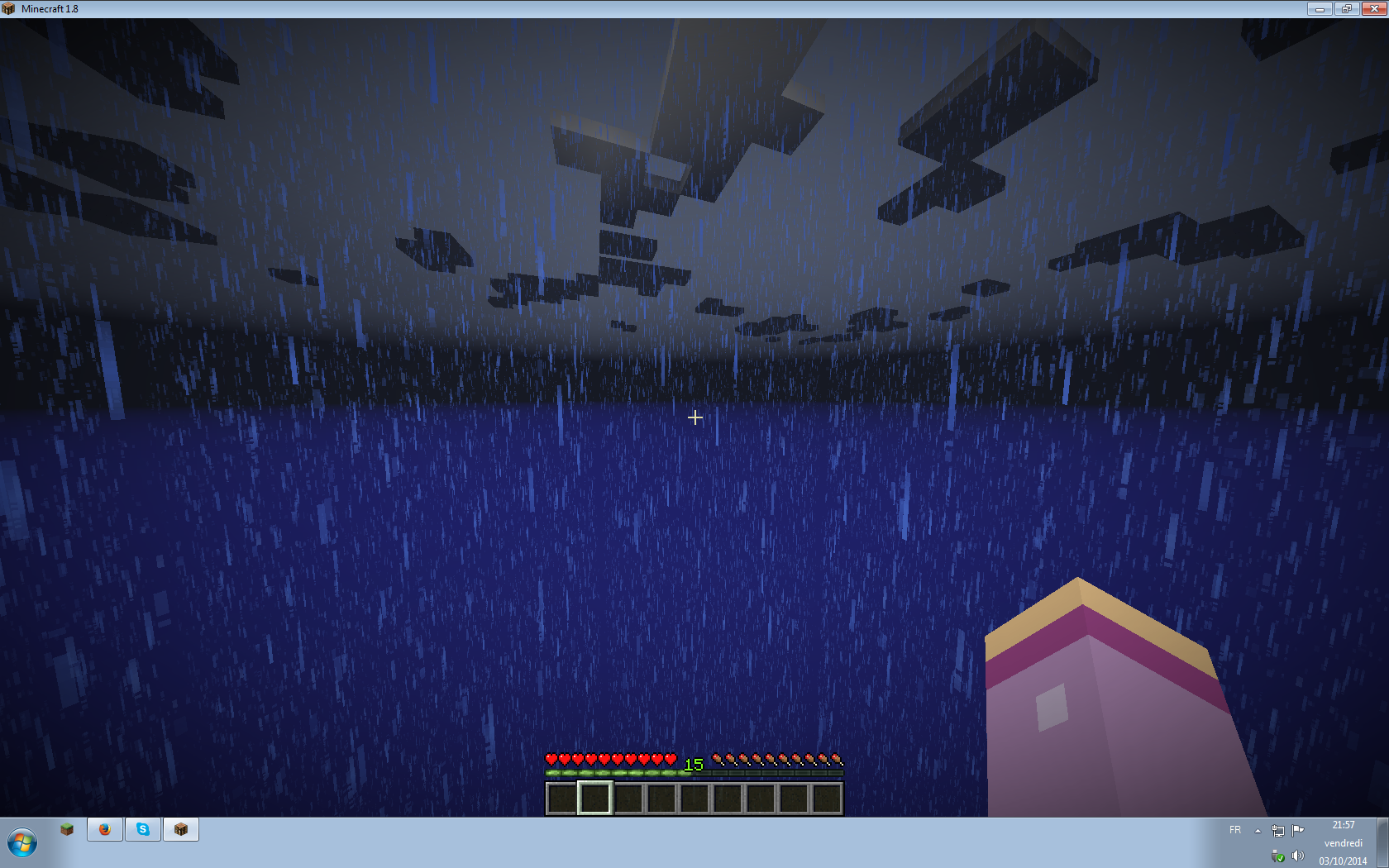 Capture Bug Minecraft 1.8.png
