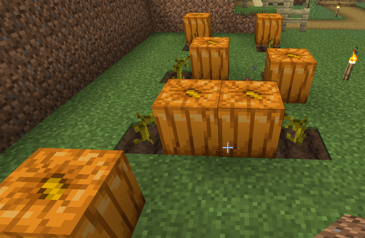 Citrouilles.png