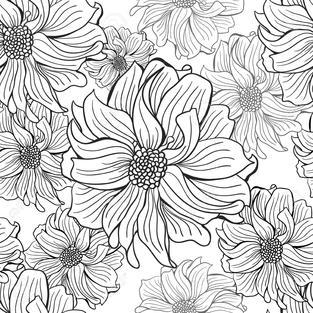 Dahlia.jpg