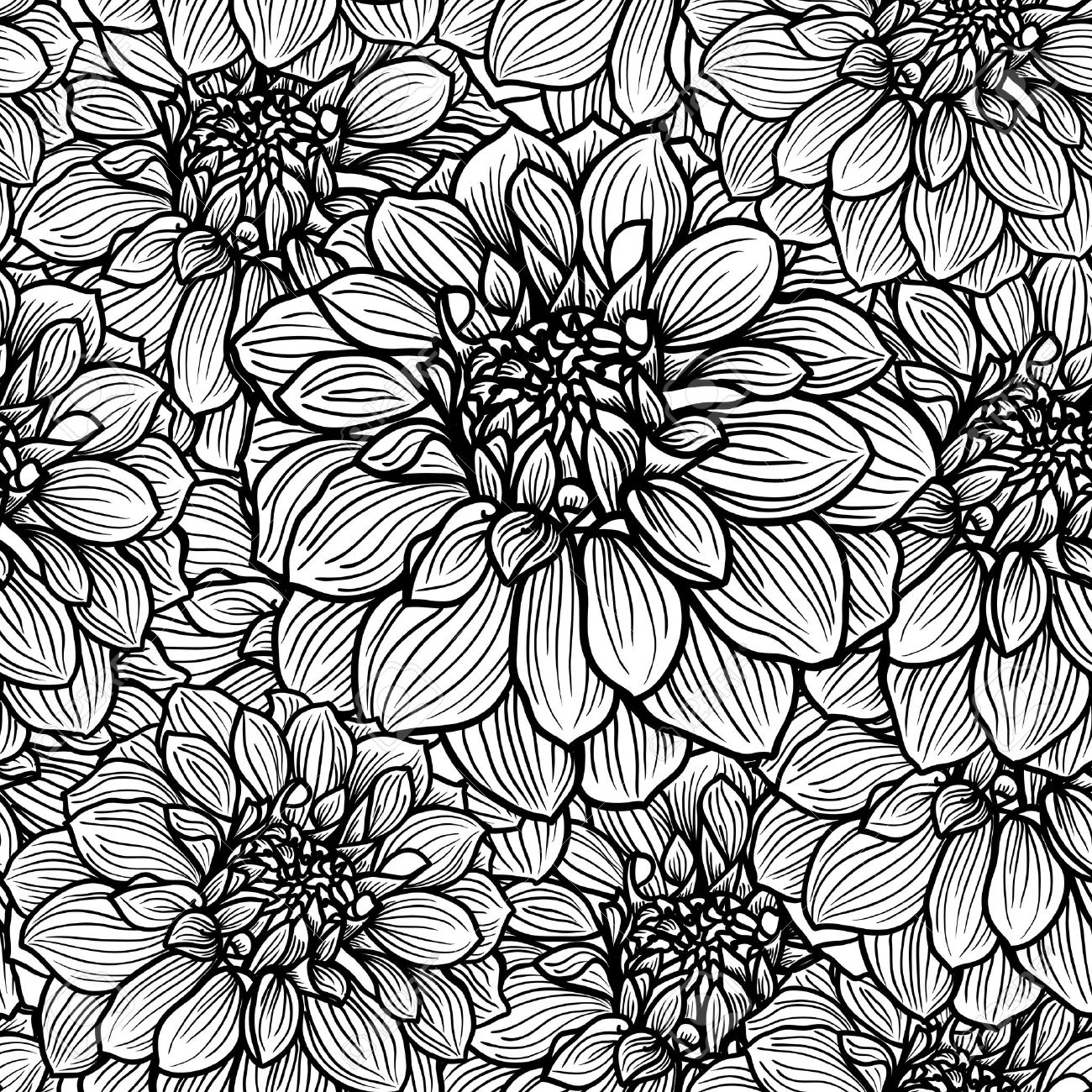Dahlia2.jpg