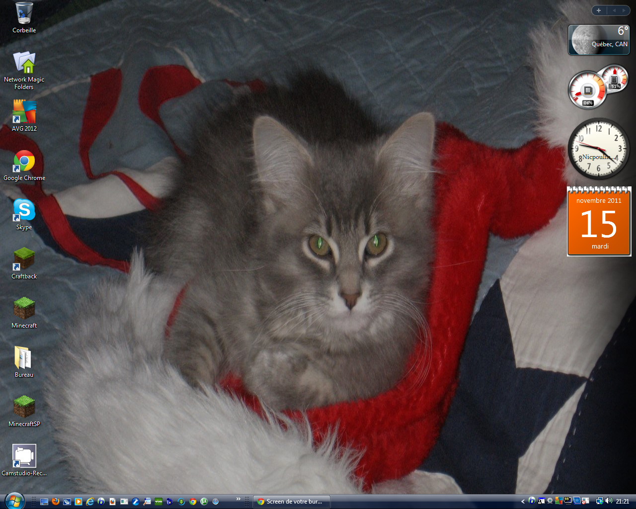 Dwm 2011-11-15 21-21-49-73.png