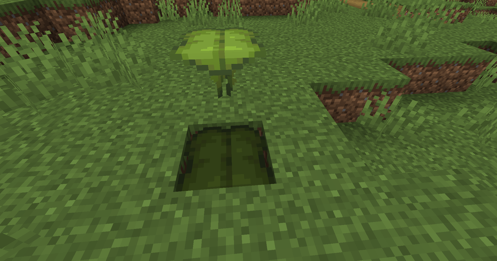 Fol 1.png