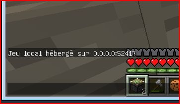 IP0.0.0.0.JPG