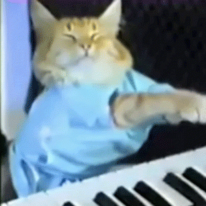 keyboard_cat.jpg