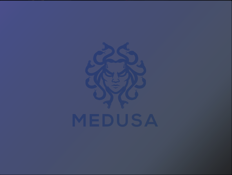 Logo Medusa.png