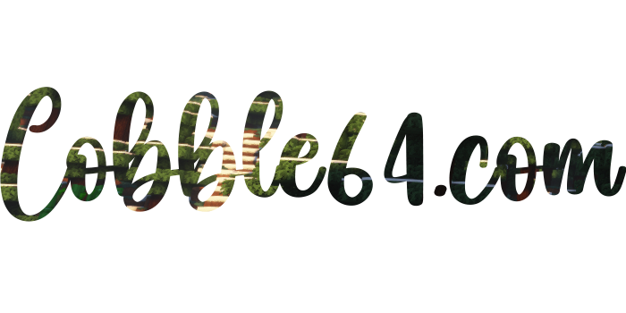 logo.png