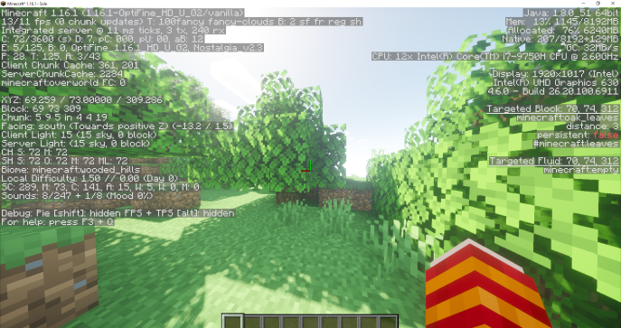 Minecraft_ 1.16.1 - Solo 20_08_2020 21_07_02.png