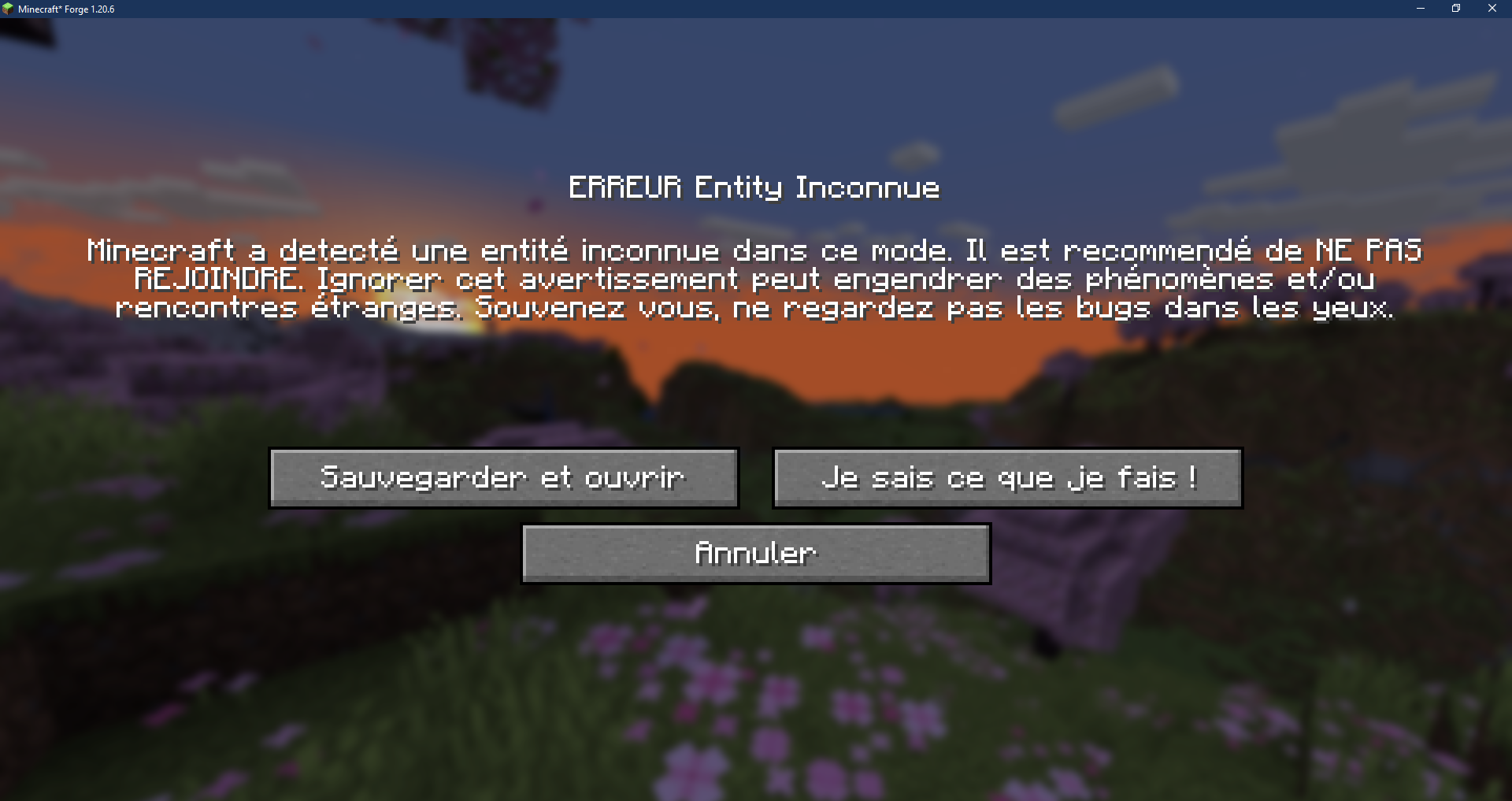 Minecraft_ Forge 1.20.6 11_juin_2024 15_42_29.png