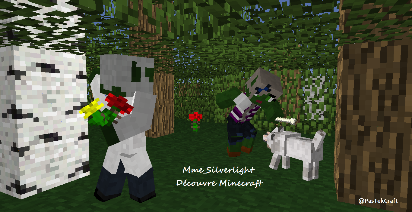 Mme_Silverlight Découvre Minecraft.png