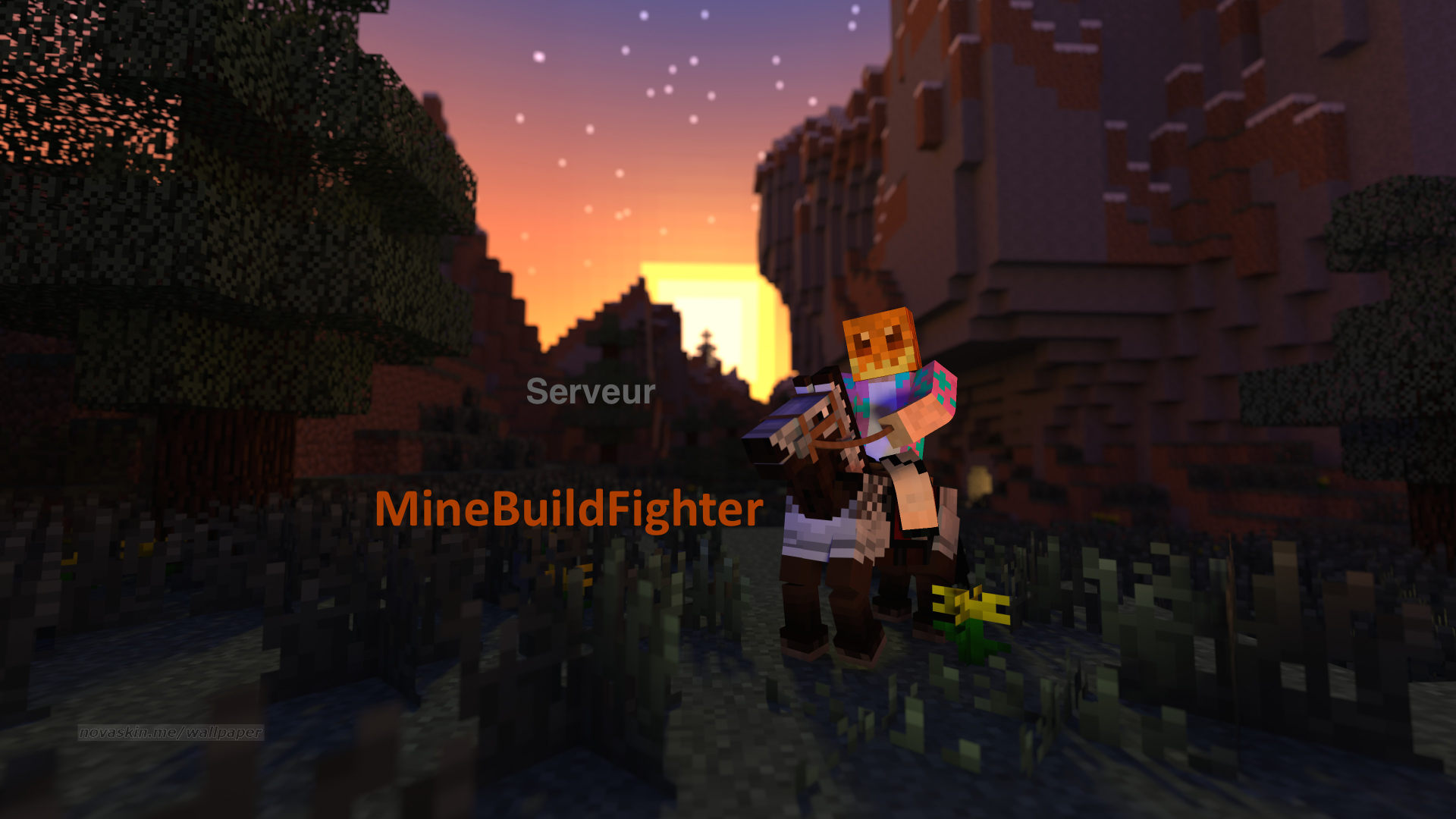 ServeurMinebuildFighter.png