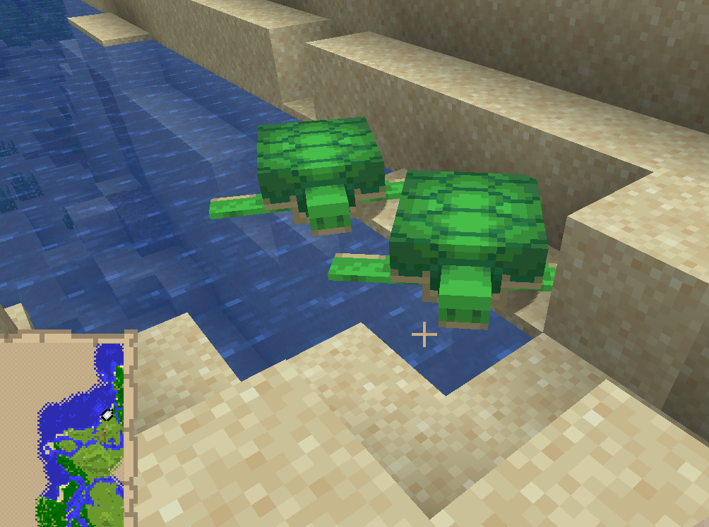 Tortues.png