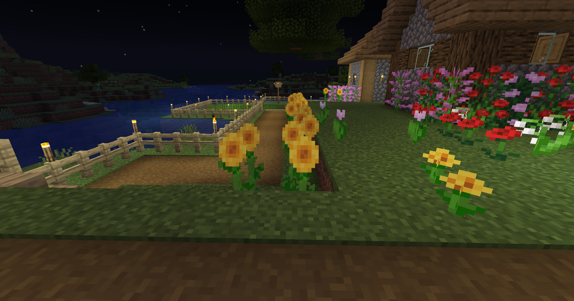 Tournesol.png