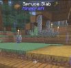 IMG_0817.jpeg
