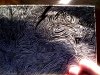 Snapshot_20120102_5.JPG