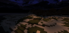 Minecraft - Bug 2.png
