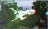 Affichage MineCraft.jpg