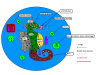 plan lobby.png