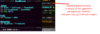Capture.PNG