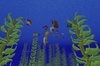 2PHZ_aquatic03_texture_fr_minecraft.jpg