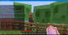 Minecraft 1.15.2 - Singleplayer 08_06_2020 20_02_10.png