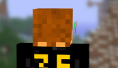 skin.PNG skin.PNG