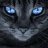 MrXanthare