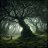 Magical_Tree