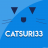 Catsuri33