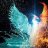 PhoenixMinecraft