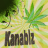{Kanabiz}