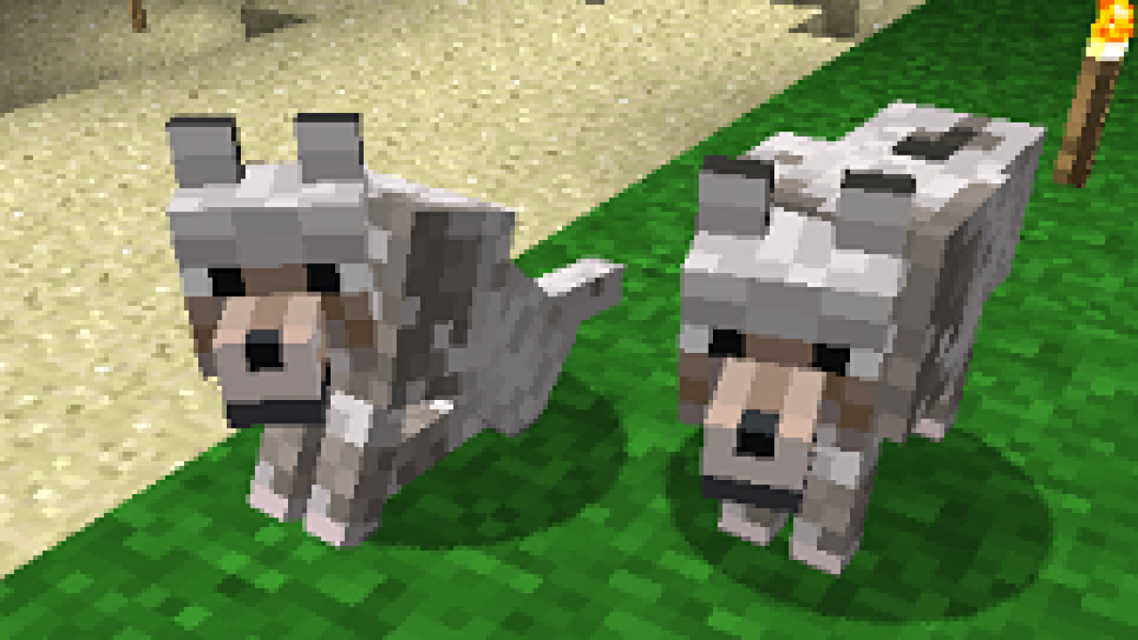 Prochainement Des Chiens Loups Minecraft Fr