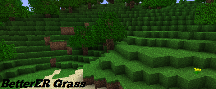 BettERGrass [1.4_01] • Minecraft.fr