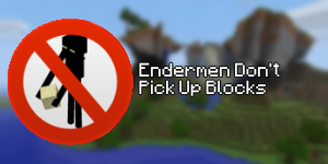 [1.1] Endermen Don’t Pick Up Blocks