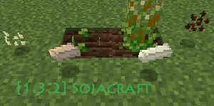 [1.3.2] Sojacraft